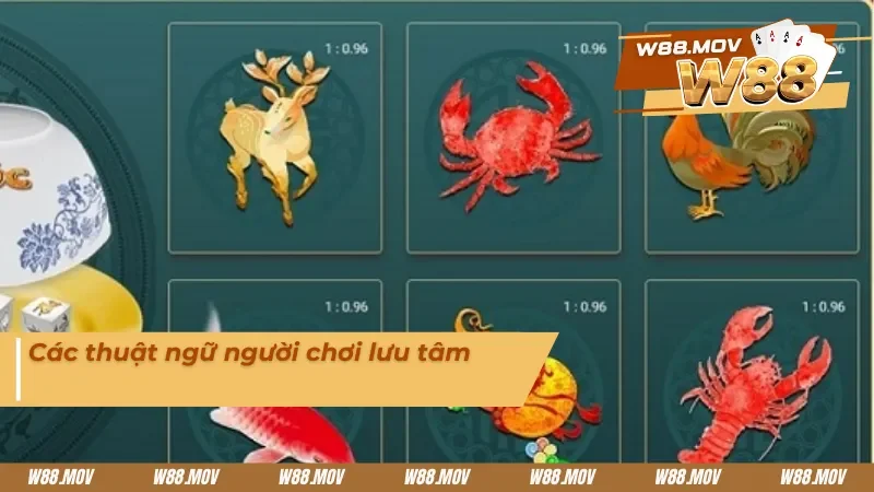 Các thuật ngữ cần lưu tâm khi chơi bầu cua 