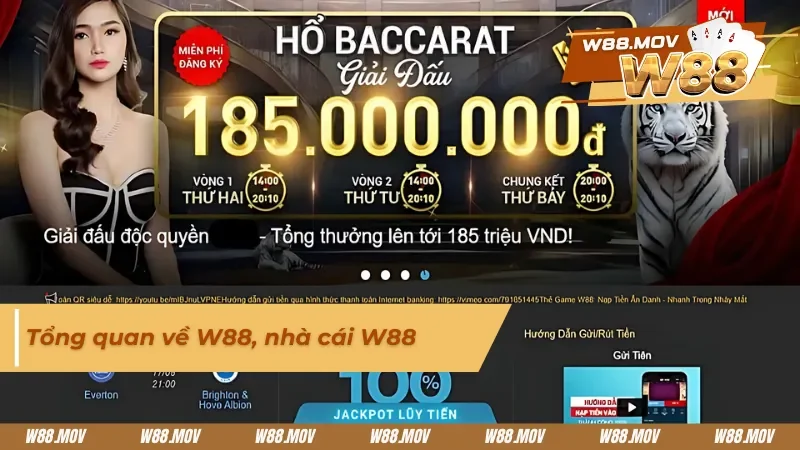 Khám phá những thông tin cơ bản về nhà cái